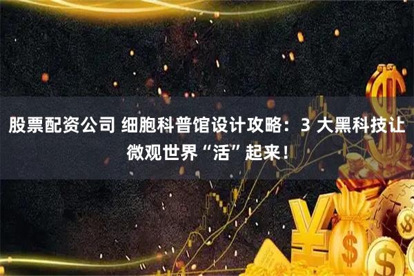 股票配资公司 细胞科普馆设计攻略：3 大黑科技让微观世界“活”起来！