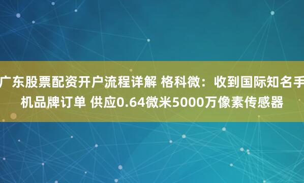 广东股票配资开户流程详解 格科微：收到国际知名手机品牌订单 供应0.64微米5000万像素传感器
